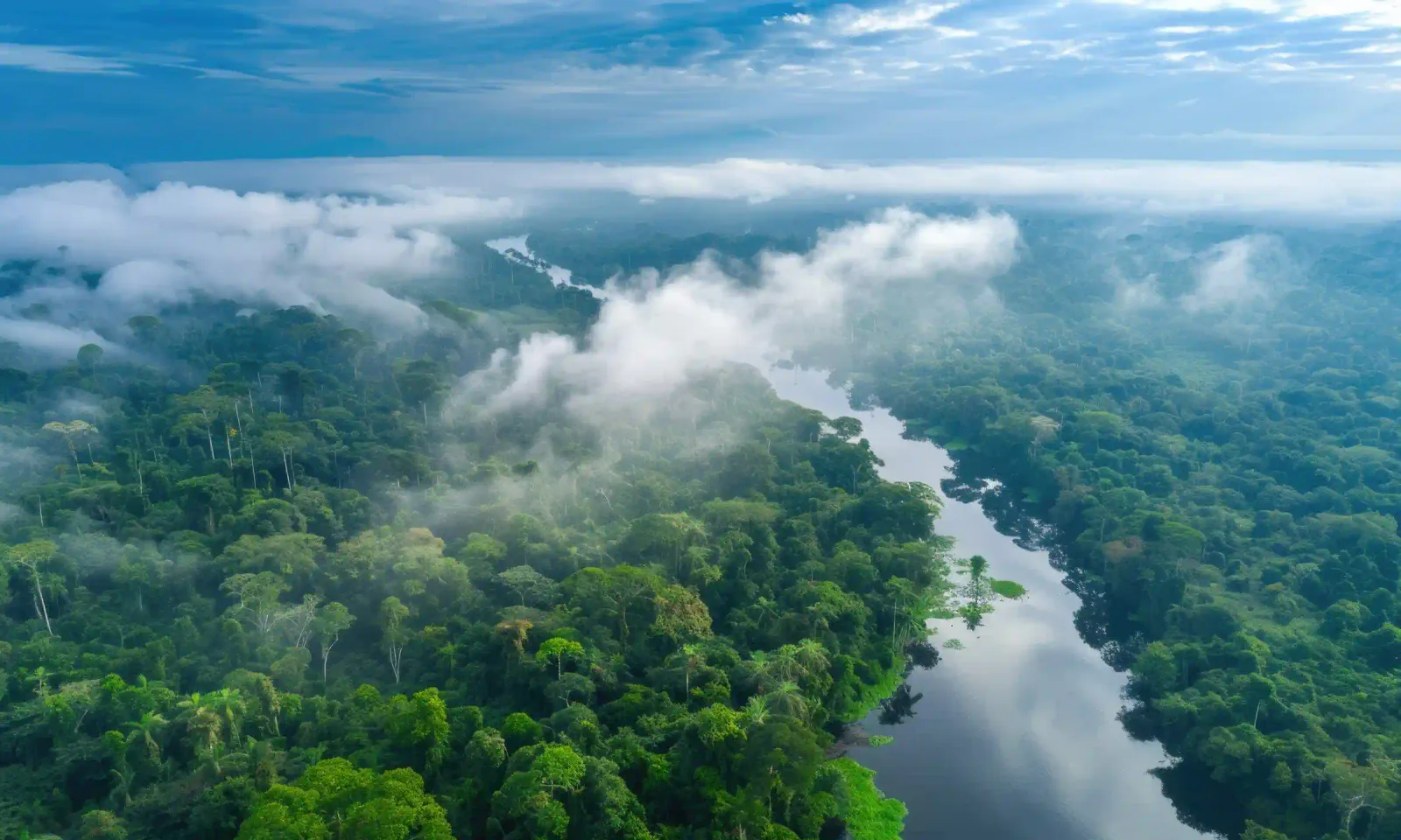 Aerial view of the Peruvian Amazon rainforest with a winding river and morning mist