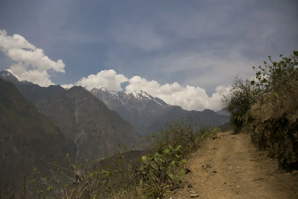 Panoramic view of the Apurímac canyon with snow-capped peaks on the Choquequirao trek