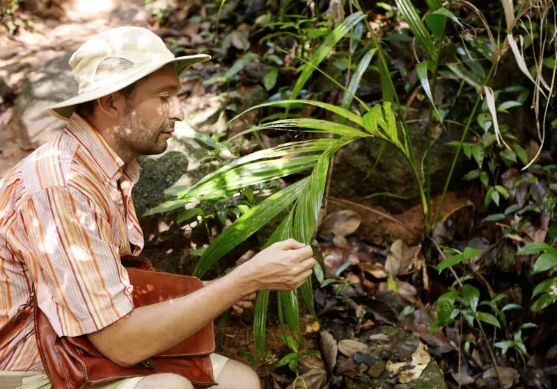 Amazon rainforest tours — Manu & Tambopata, Peru