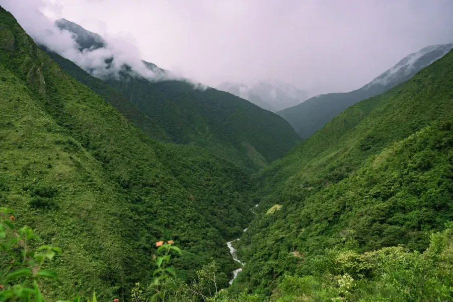 Inca Trail 2 Days — Short Inca Trail through the cloud forest