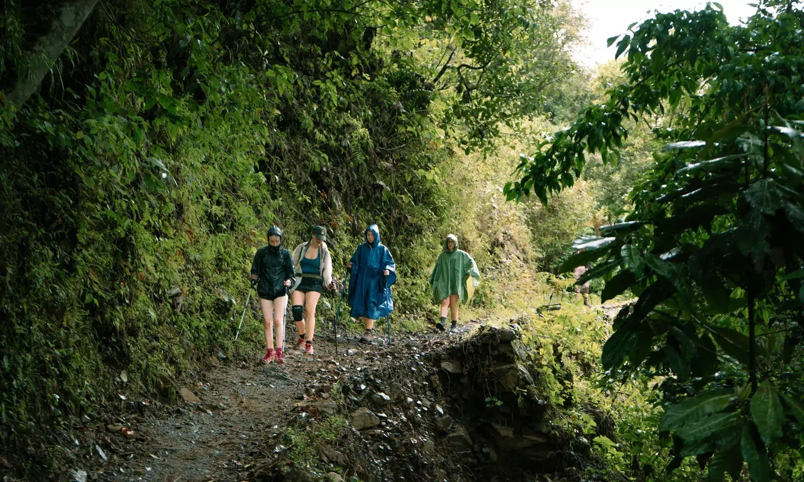 Hikers on the Short Inca Trail through cloud forest toward Machu Picchu