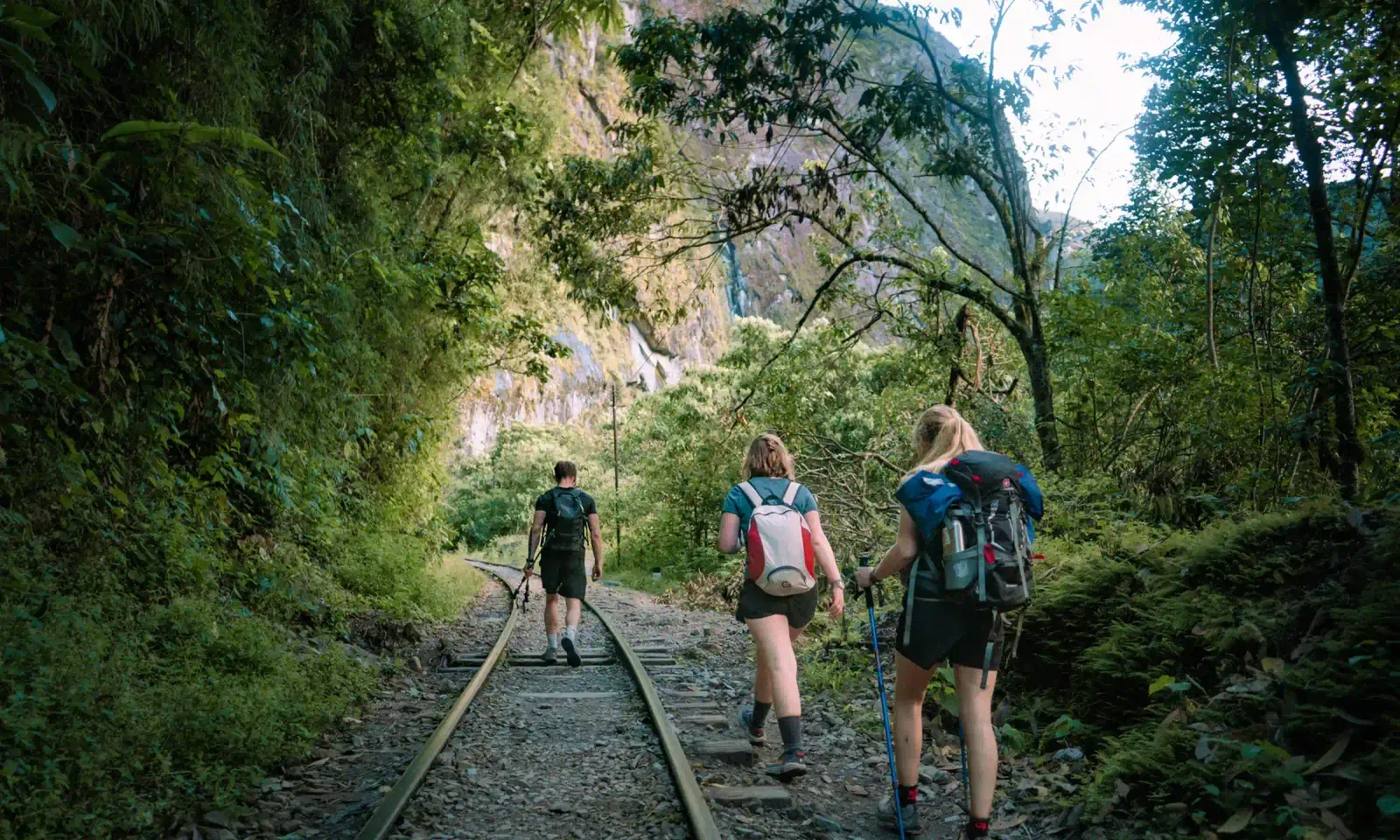 Trekkers on the Inca Trail walking toward Machu Picchu through the cloud forest