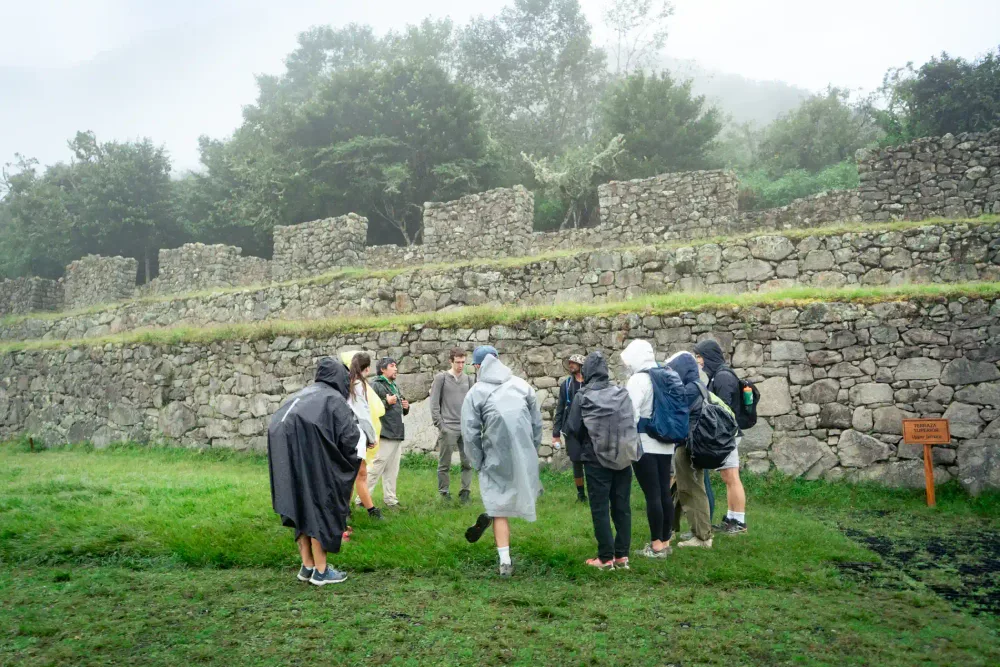 Llamas and ruins at Machu Picchu