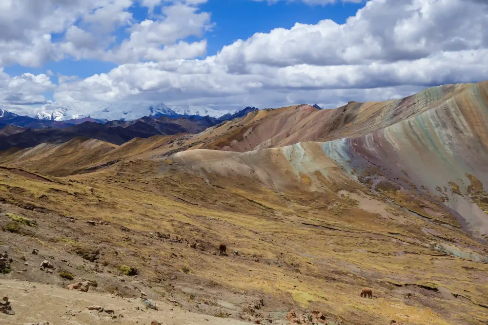 Panorama of the Palcoyo range with snow-capped peaks in the distance