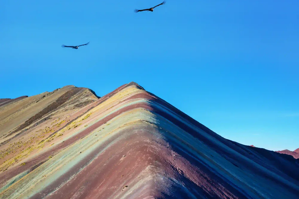 Andean condors flying above the striped Rainbow Mountain