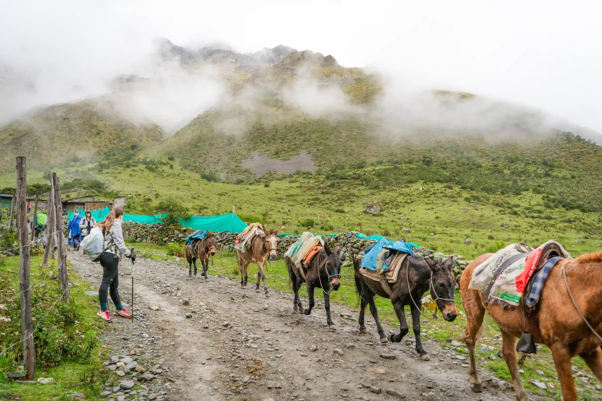 Trekkers below Nevado Salkantay on the Salkantay Trek 3 Days